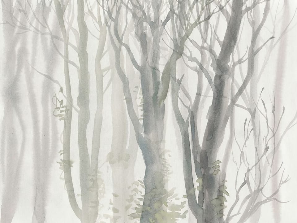 Fototapeta Zimowy las z nagimi gałęziami