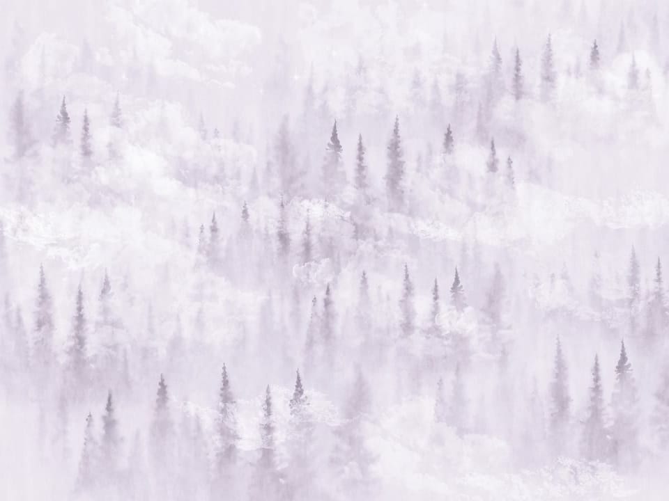 Fototapeta Mglisty las iglasty na wzgórzach