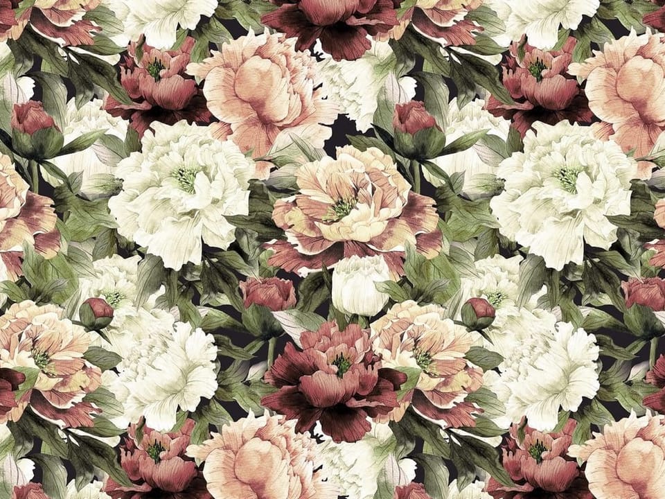 Fototapeta Piwonie w odcieniach różu i bieli