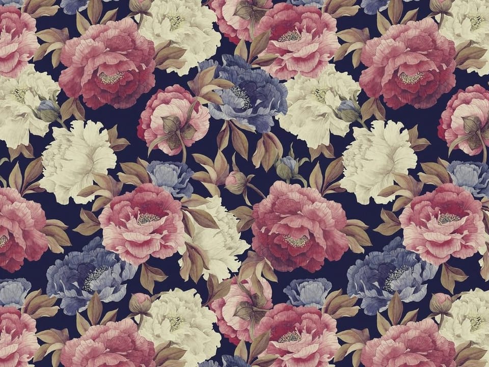 Fototapeta Kwiaty piwonii na ciemnym tle