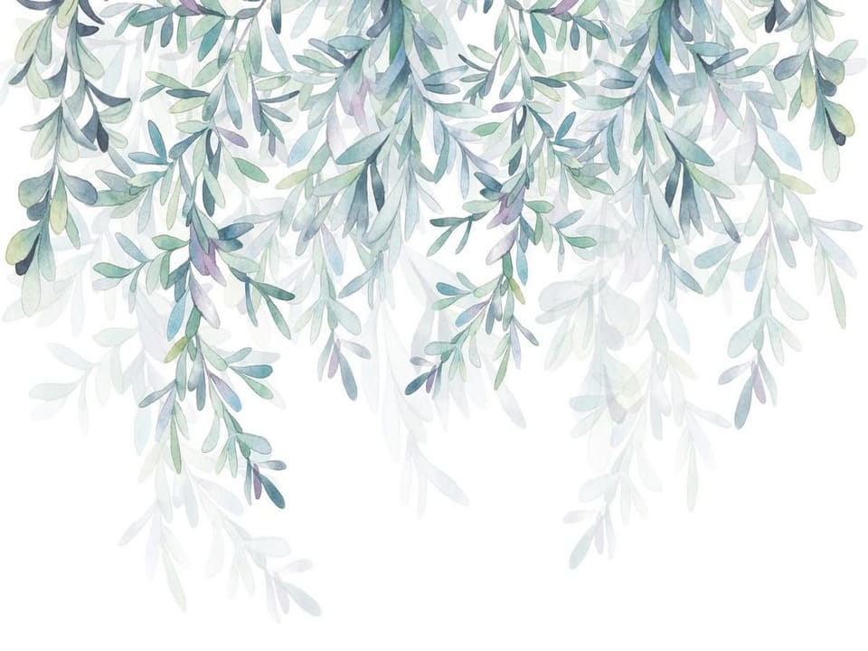 Fototapeta Wiszące gałęzie z liśćmi