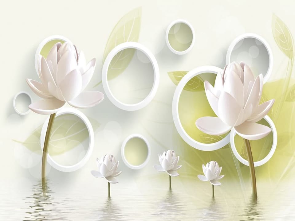 Fototapeta Białe kwiaty lotosu na wodzie