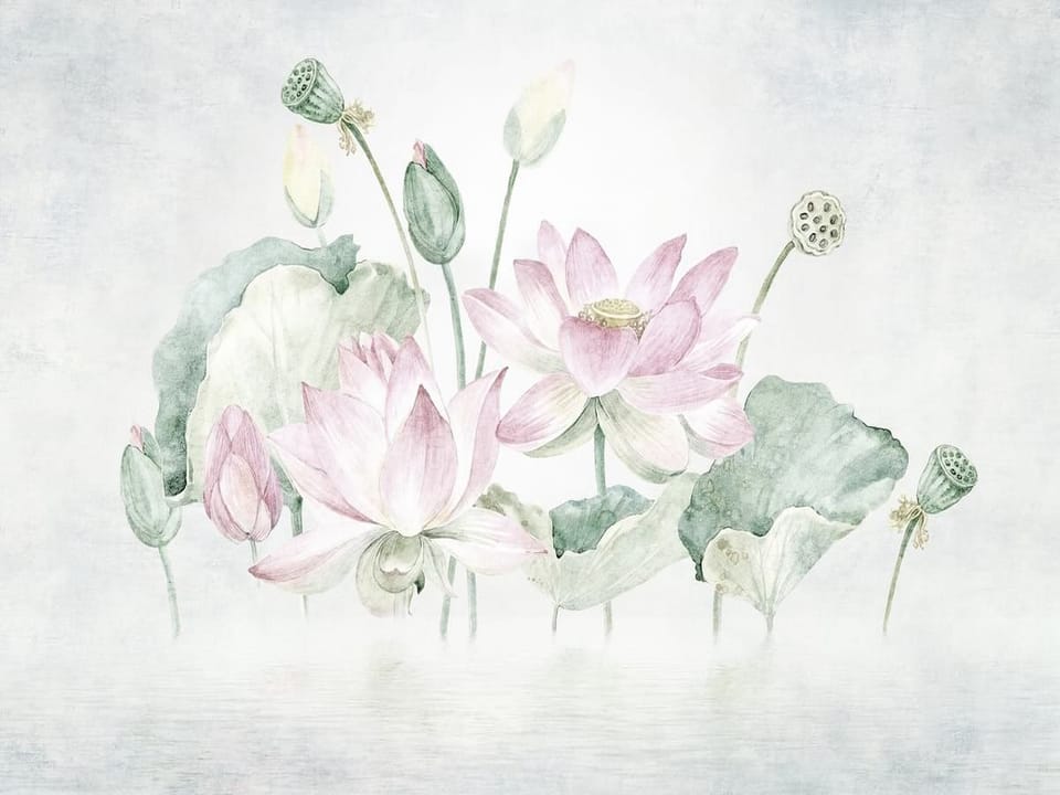 Fototapeta Lilie i kwiaty lotosu na wodzie