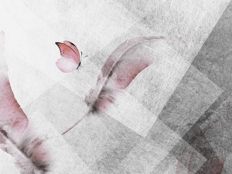 Fototapeta Różowe pióra na jasnym tle