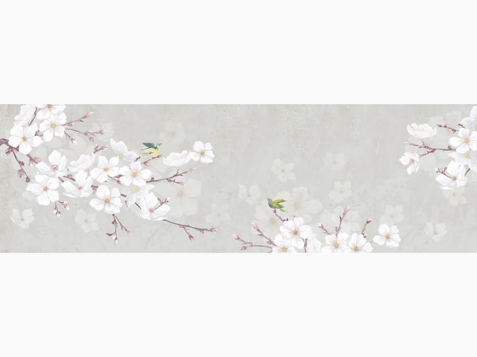 Fototapeta Gałęzie Sakury z Białymi Kwiatami