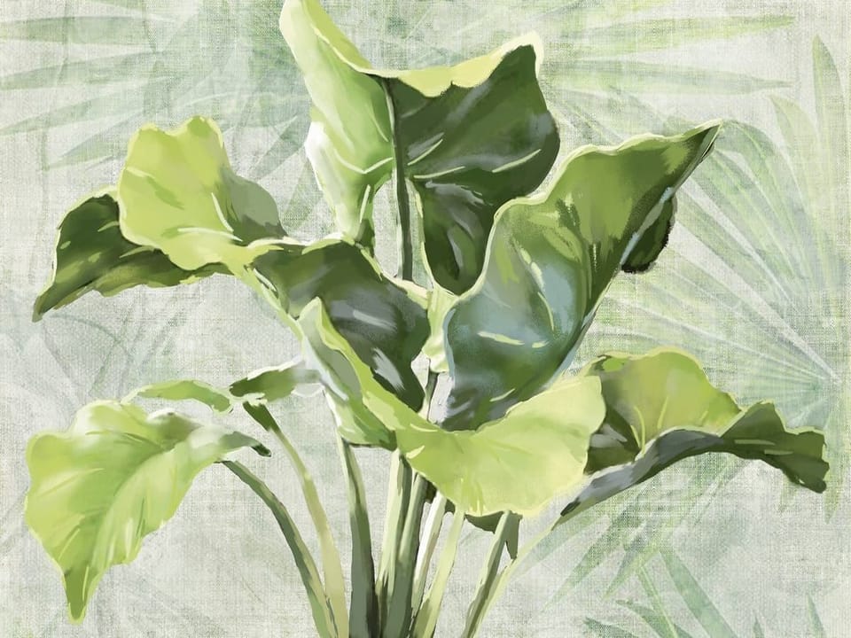 Fototapeta Zielone liście na jasnym tle