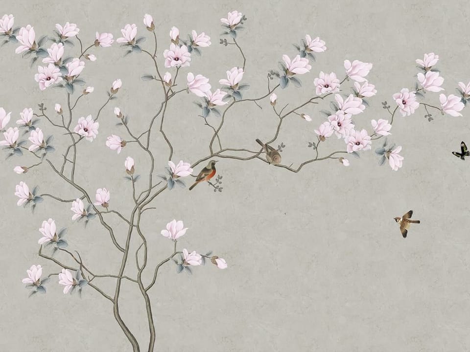 Fototapeta Gałąź magnolii z kwiatami