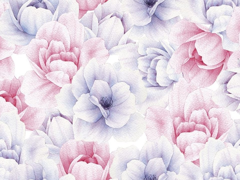 Fototapeta Pastelowe Kwiaty Piwonii