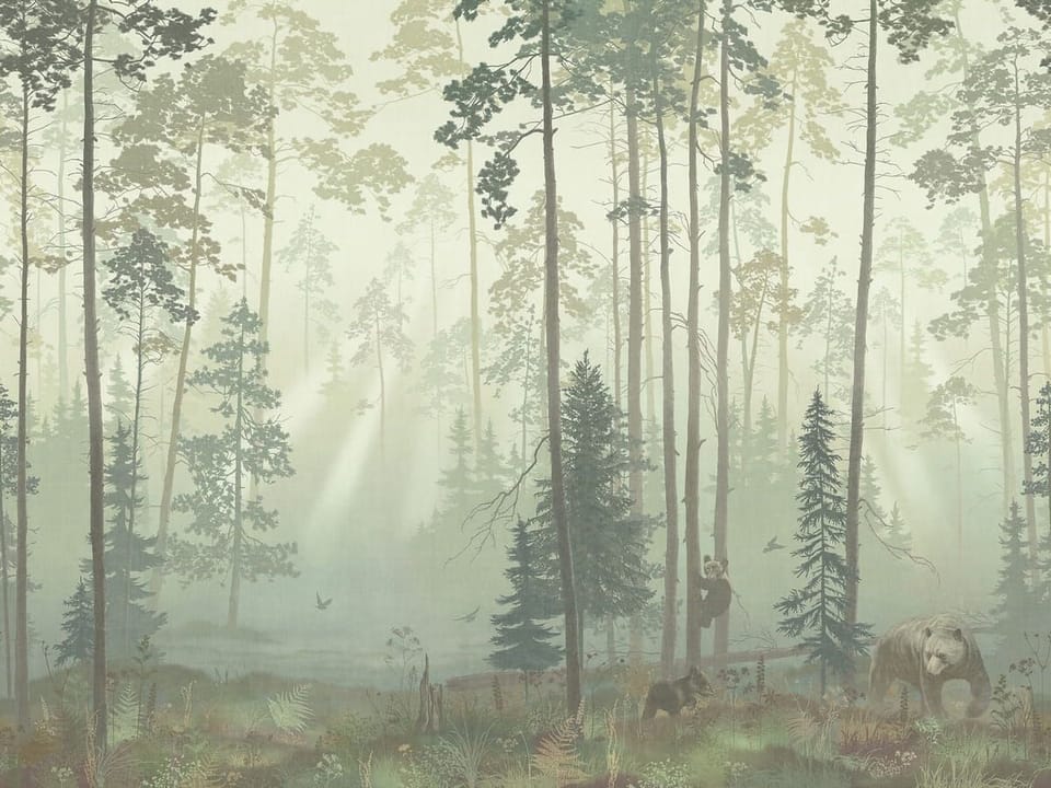 Fototapeta Las z Niedźwiedziami i Mgłą