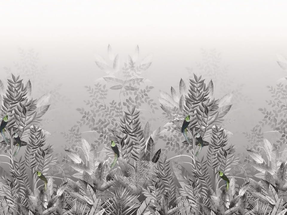 Fototapeta Kwiaty polne i duże liście