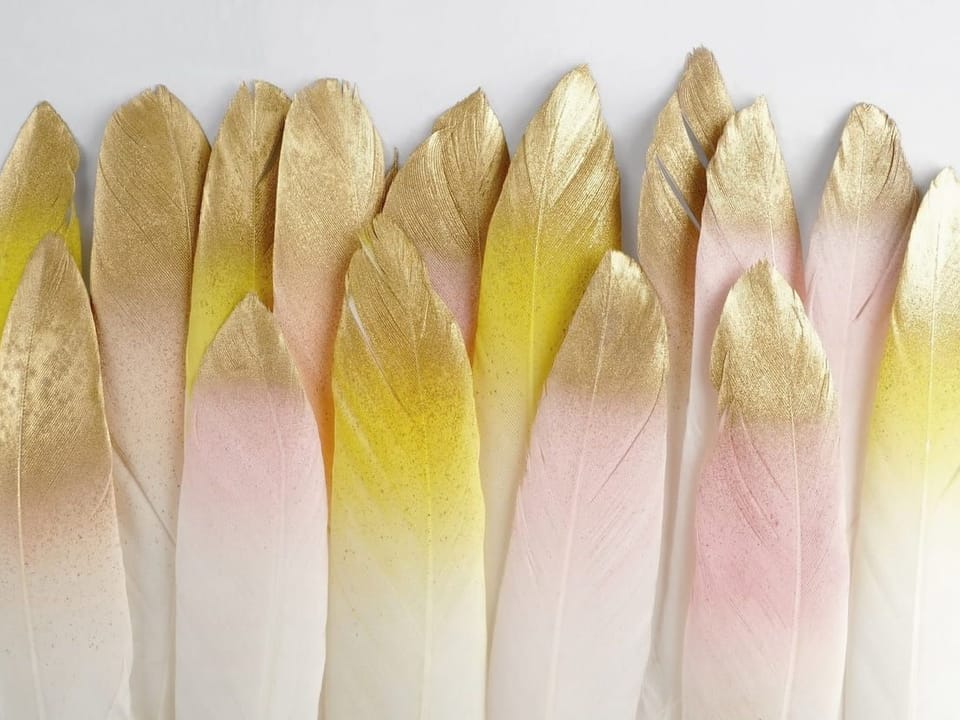Fototapeta Delikatne pióra z gradientem