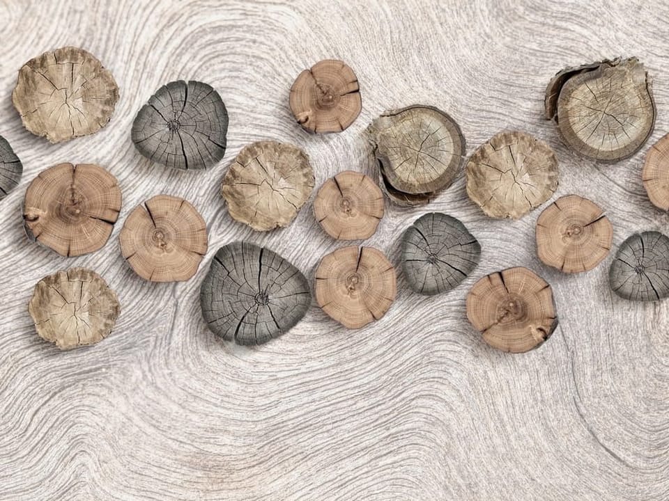 Fototapeta Drewniane krążki na jasnym tle