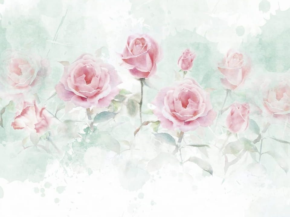 Fototapeta Różowe róże na akwarelowym tle