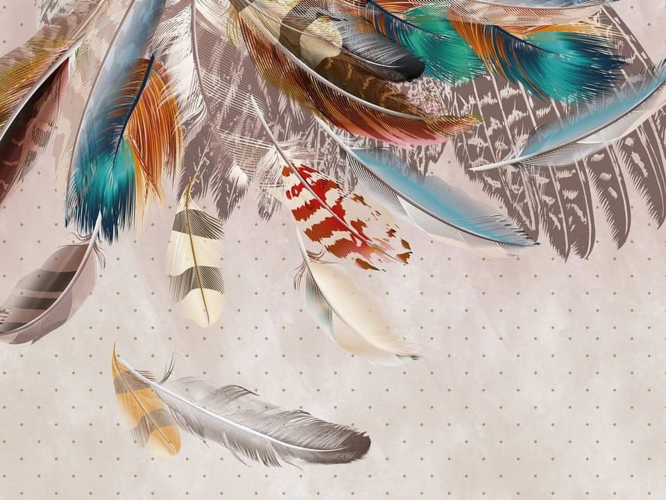 Fototapeta Kolorowe pióra na jasnym tle