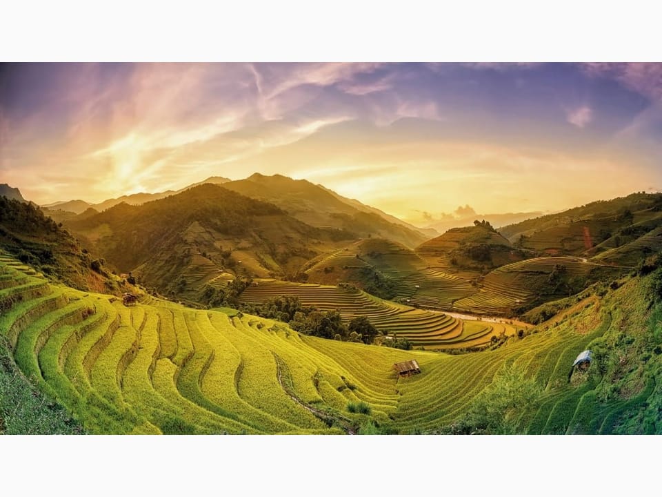 Fototapeta Tarasowe pola ryżowe w górach