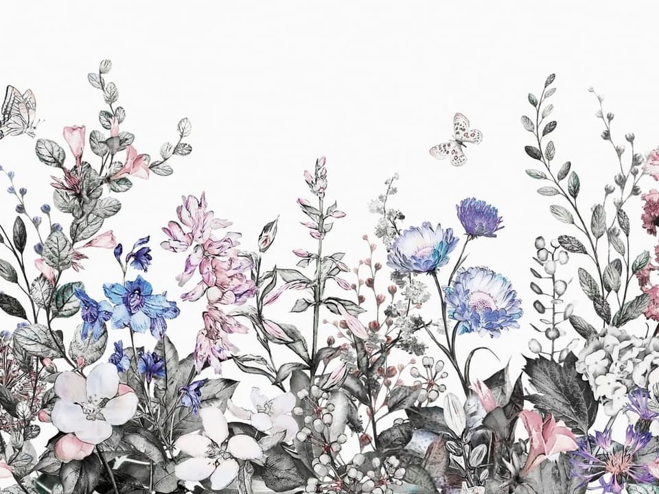 Fototapeta Kwiaty polne na białym tle