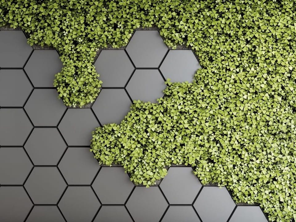 Fototapeta Zielone Liście na Sześciokątach