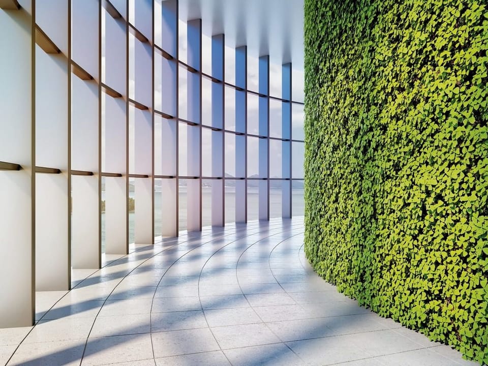 Fototapeta Zielona ściana z widokiem