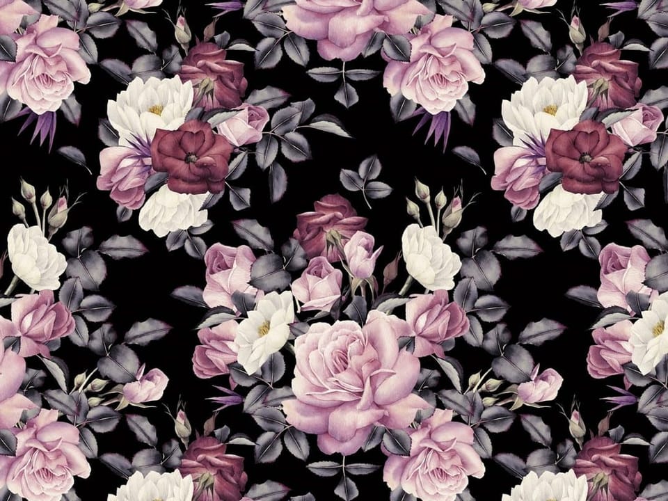 Fototapeta Różowe i białe róże na czarnym tle