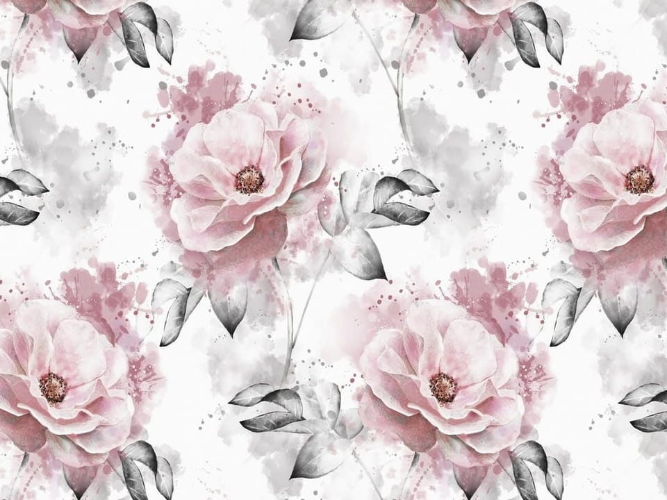 Fototapeta Róże i szare liście na białym tle