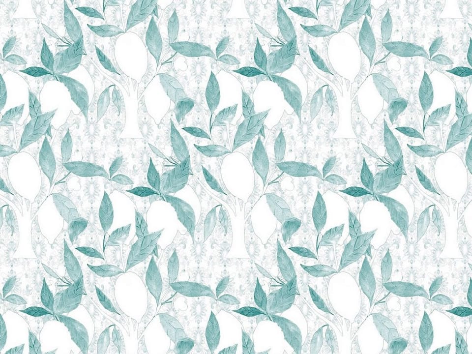 Fototapeta Zielone liście i białe owoce