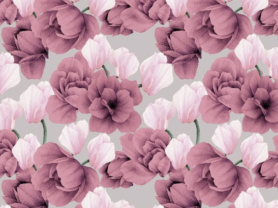 Fototapeta Magnolie w odcieniach różu i fioletu