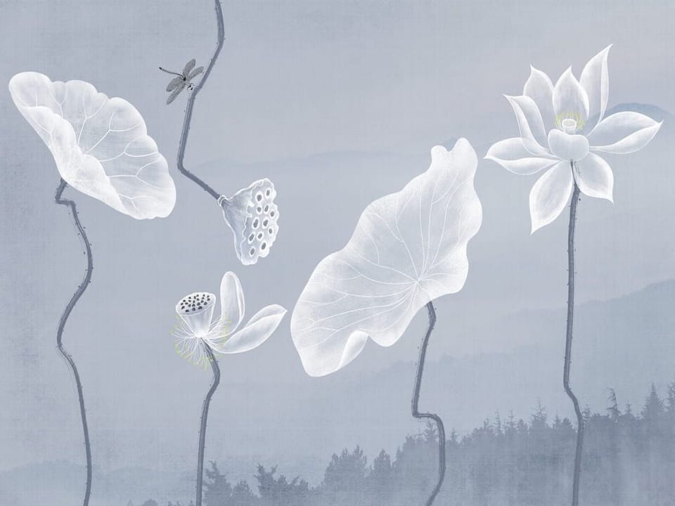 Fototapeta Białe kwiaty lotosu i góry