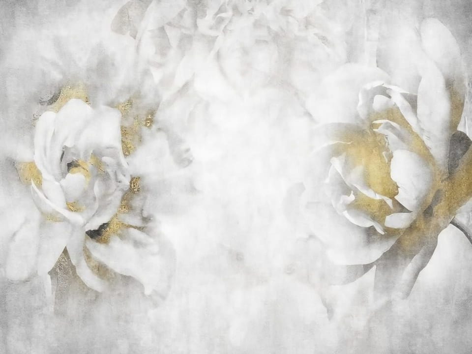 Fototapeta Kwiatowe Murale z Białymi Kwiatami