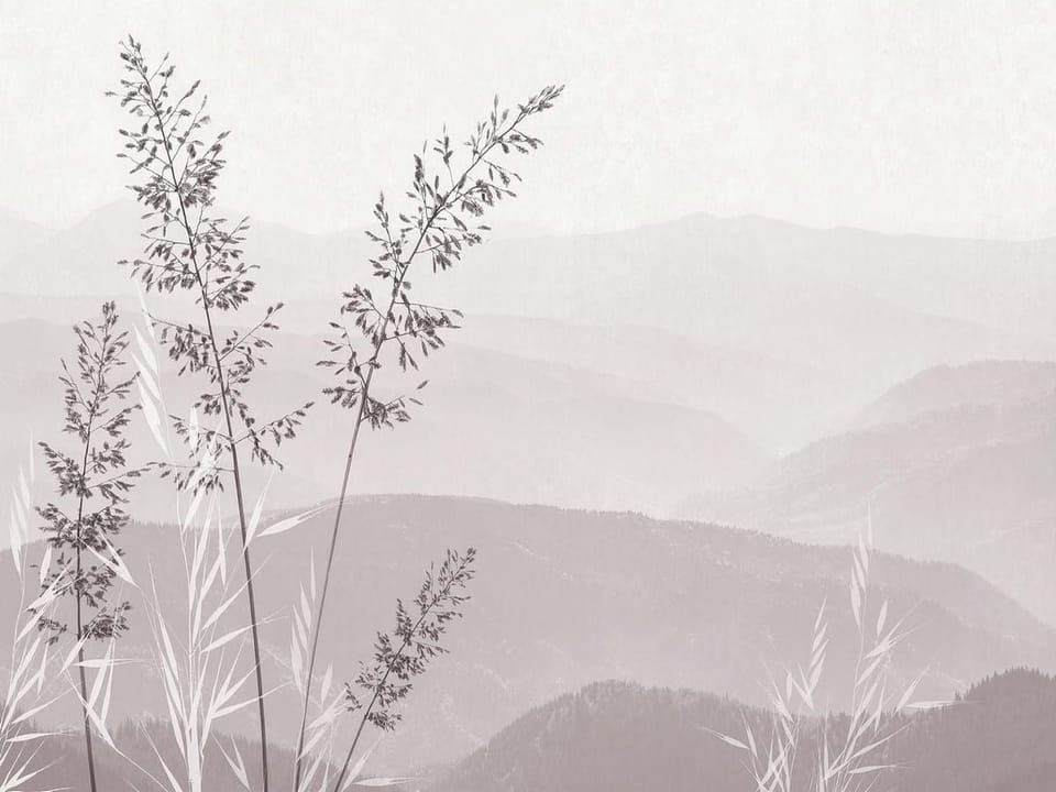 Fototapeta Kwiaty polne i górskie pejzaże