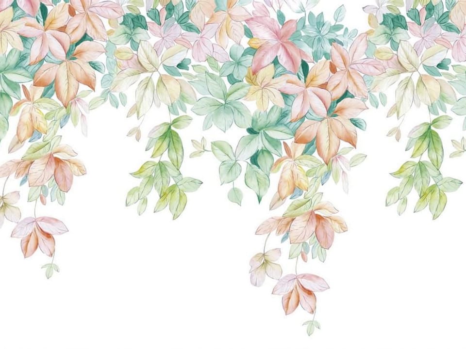 Fototapeta Kolorowe liście na białym tle