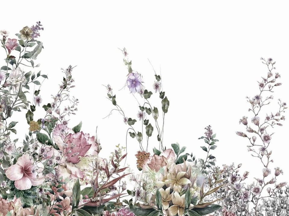 Fototapeta Kwiaty polne na białym tle