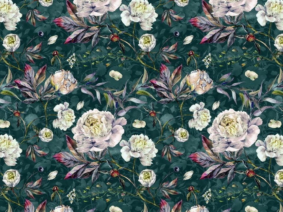 Fototapeta Piwonie na ciemnym tle