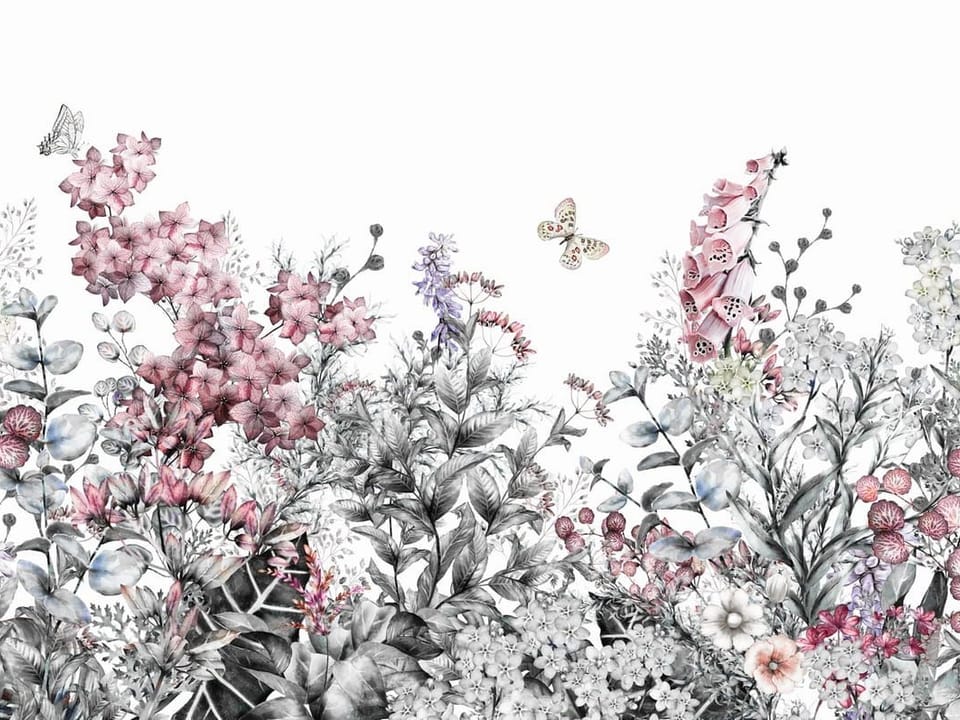 Fototapeta Kwiaty polne na białym tle