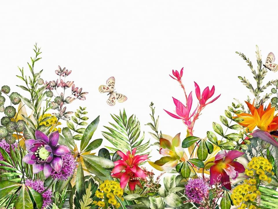 Fototapeta Egzotyczne kwiaty i liście