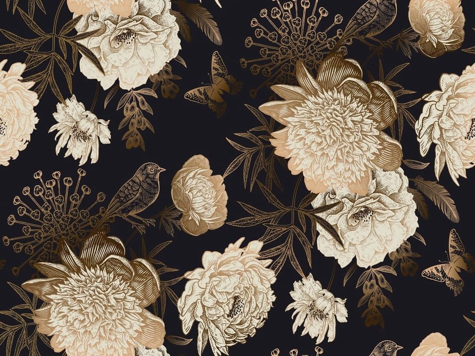 Fototapeta Kwiaty piwonii na ciemnym tle