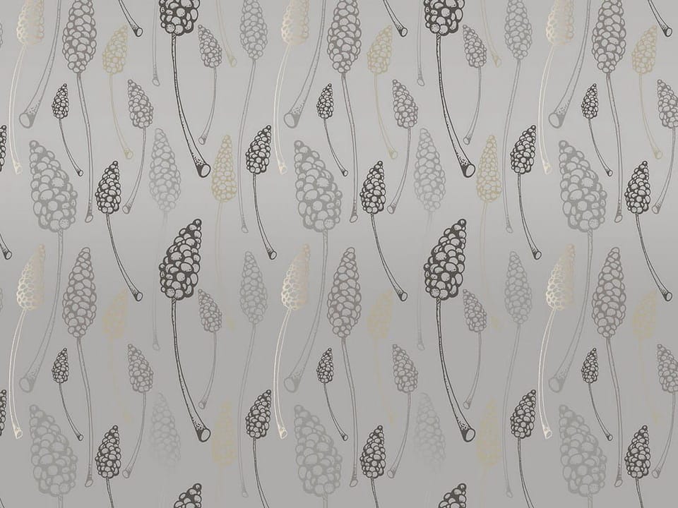 Fototapeta Szare tło z szyszkami