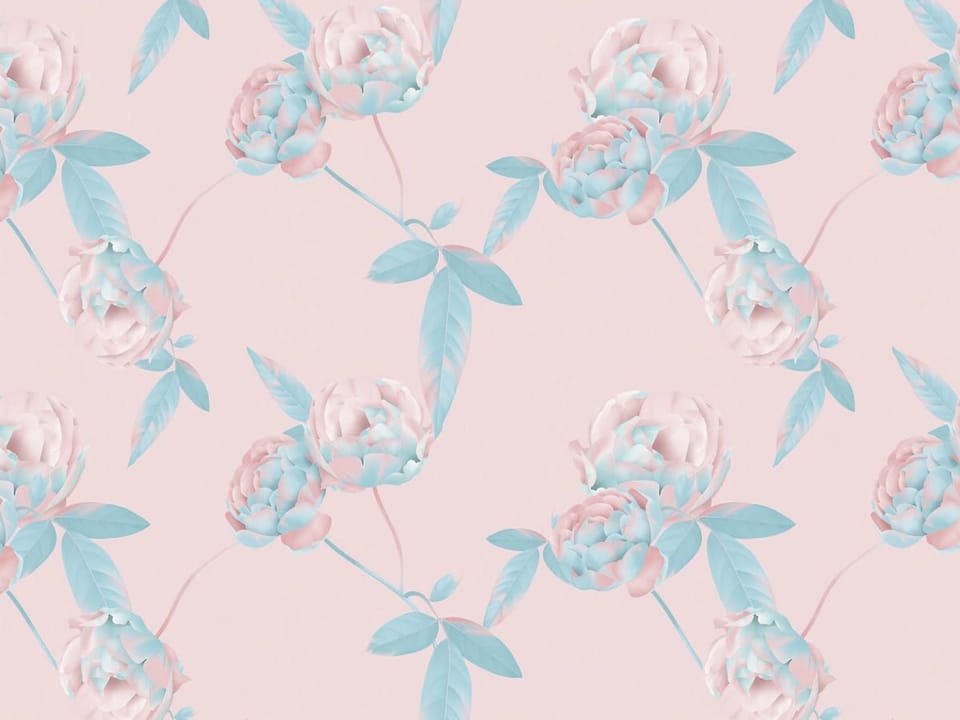 Fototapeta Symetryczne piwonie na różowym tle