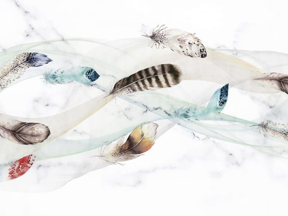 Fototapeta Kolorowe pióra na białym tle