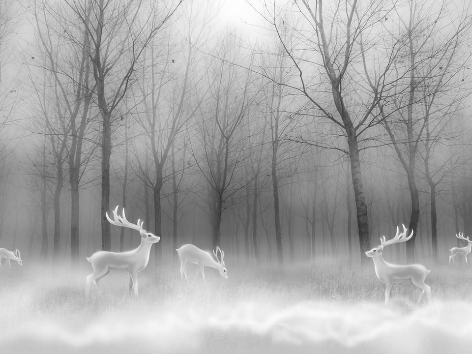 Fototapeta Leśne gęstwiny z jeleniami