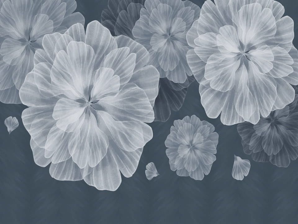 Fototapeta Kwiaty na ciemnym tle