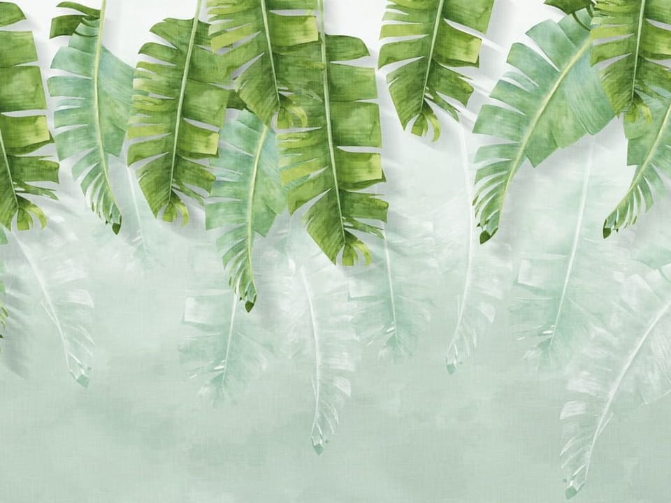 Fototapeta Zielone liście bananowca