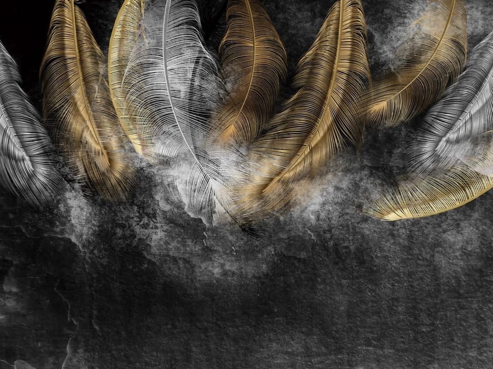 Fototapeta Eleganckie pióra na ciemnym tle