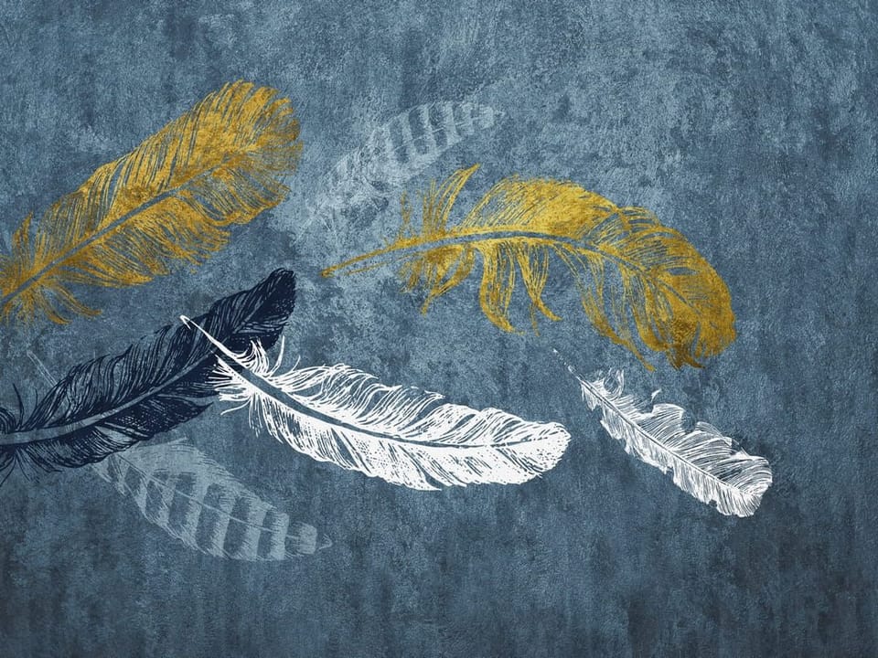 Fototapeta Kolorowe pióra na niebieskim tle