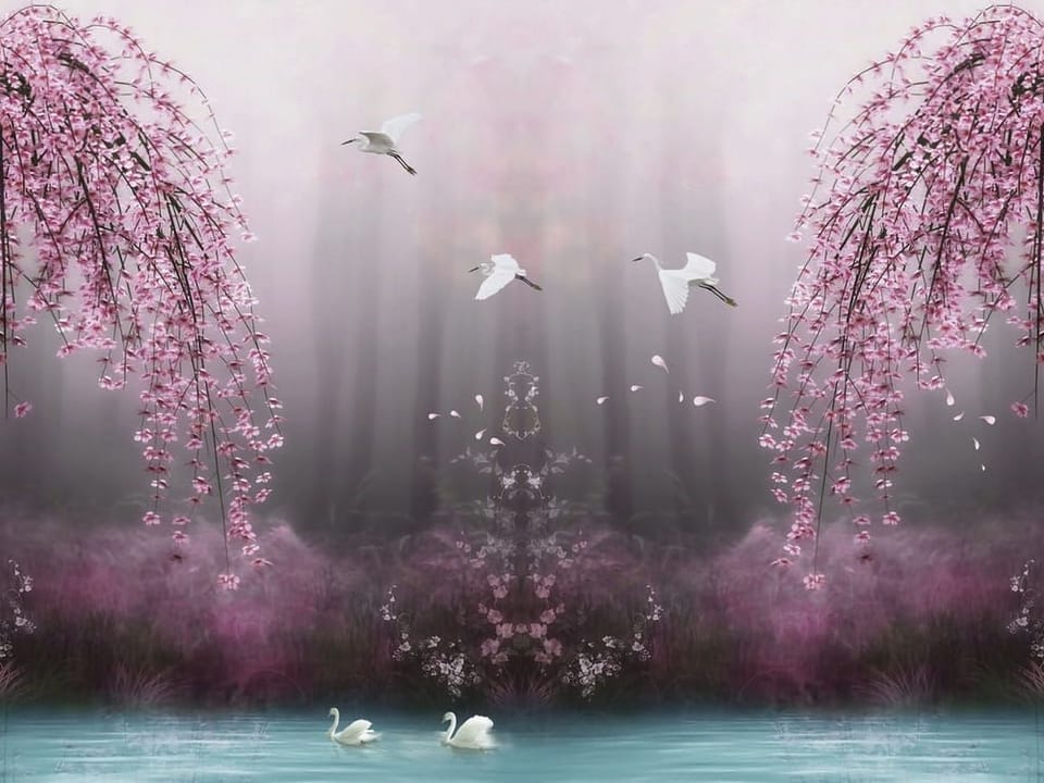 Fototapeta Różowe Drzewa nad Wodą