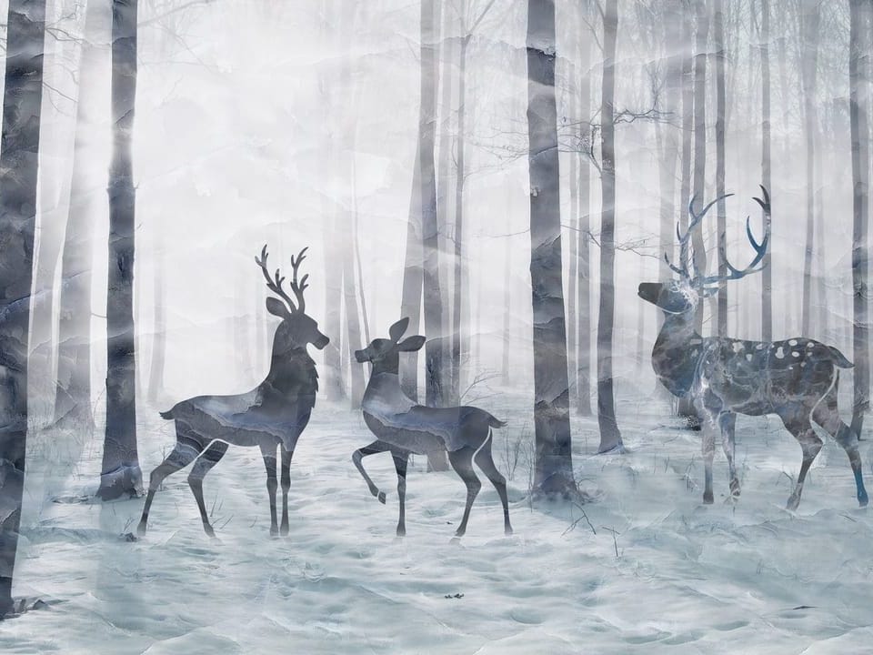 Fototapeta Jelenie w zimowym lesie