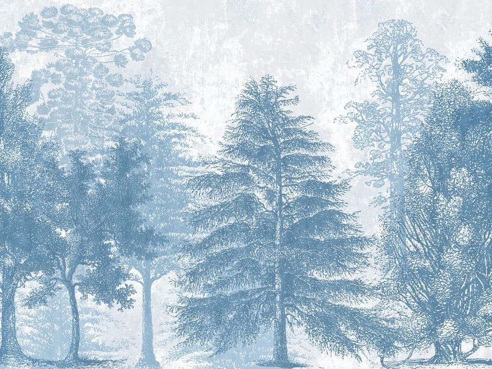 Fototapeta Drzewa o różnorodnych kształtach