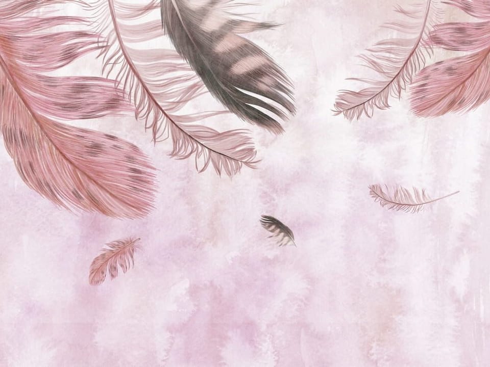 Fototapeta Delikatne pióra na pastelowym tle