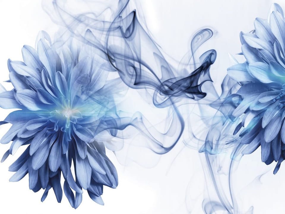 Fototapeta Niebieskie kwiaty z dymem