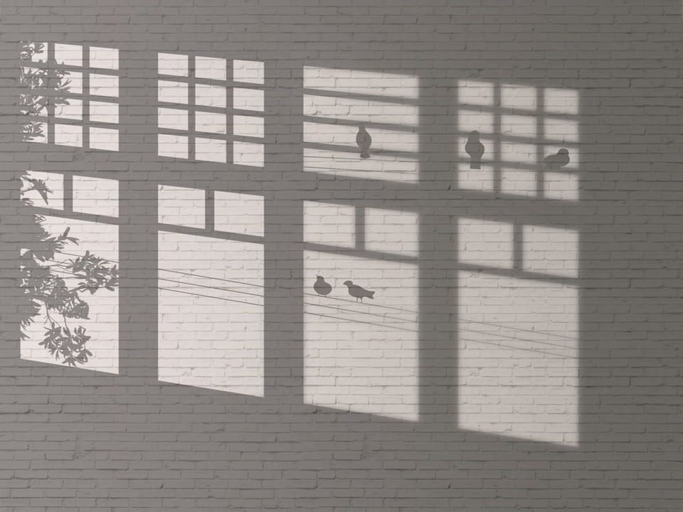 Fototapeta Cienie okien na ceglanej ścianie