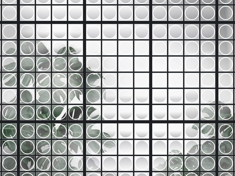 Fototapeta Liście za szklaną ścianą